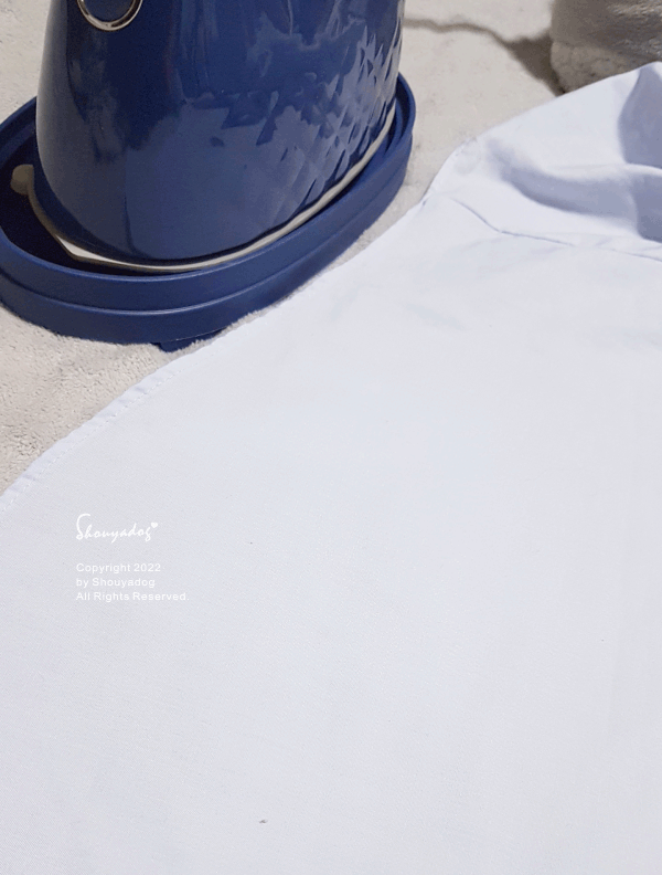 11.gif MSI-PQQ7 2 in1 蒸氣電熨斗