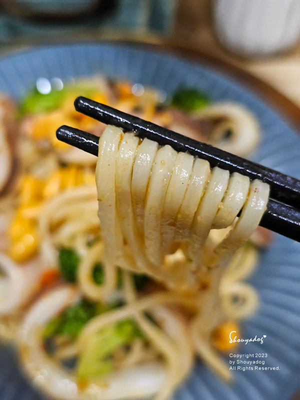 【冷凍食品】異塵牛肉麵食用心得 豪華牛肉麵開箱