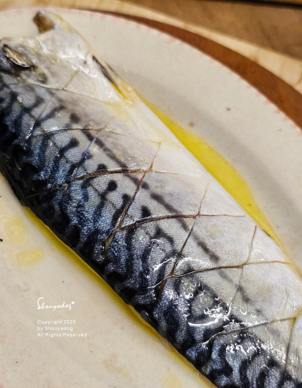 【生鮮宅配】拓野貿易有限公司之橘子魚 中秋烤肉食材 鯖魚片 