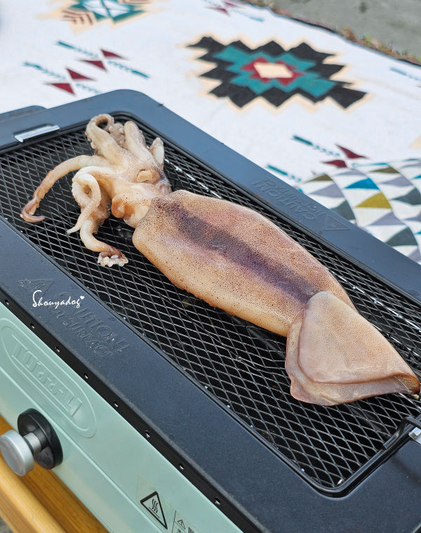 【生鮮宅配】拓野貿易有限公司之橘子魚 中秋烤肉食材 鯖魚片 