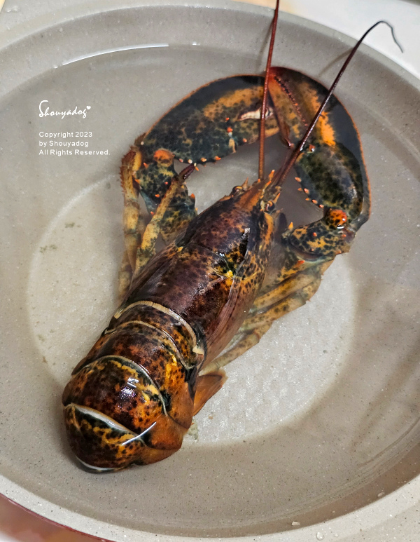 【休閒娛樂】熊嗨星樂園 STAR BEARY 首創親子食玩 【休閒娛樂】熊嗨星樂園 STAR BEARY 首創親子食玩