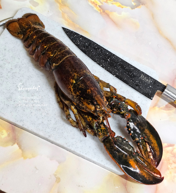 【休閒娛樂】熊嗨星樂園 STAR BEARY 首創親子食玩 【休閒娛樂】熊嗨星樂園 STAR BEARY 首創親子食玩