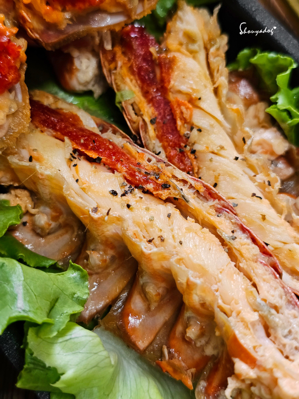 【休閒娛樂】熊嗨星樂園 STAR BEARY 首創親子食玩 【休閒娛樂】熊嗨星樂園 STAR BEARY 首創親子食玩