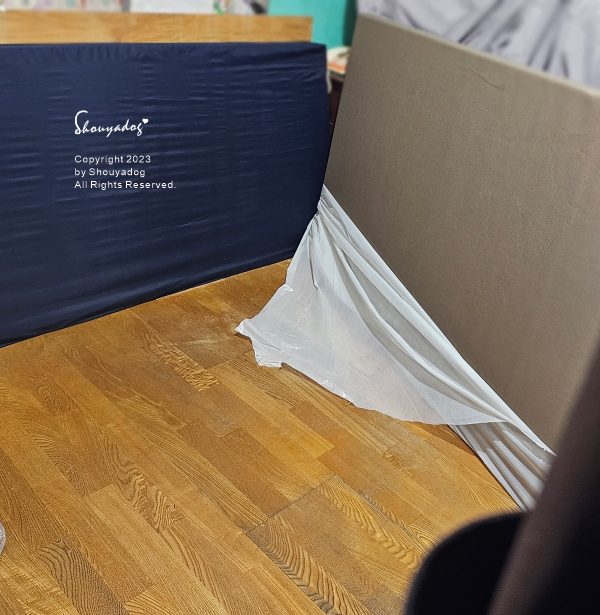 【睡眠寢具】Cosys 慢半拍 小島記憶薄墊 可水洗 外宿獨