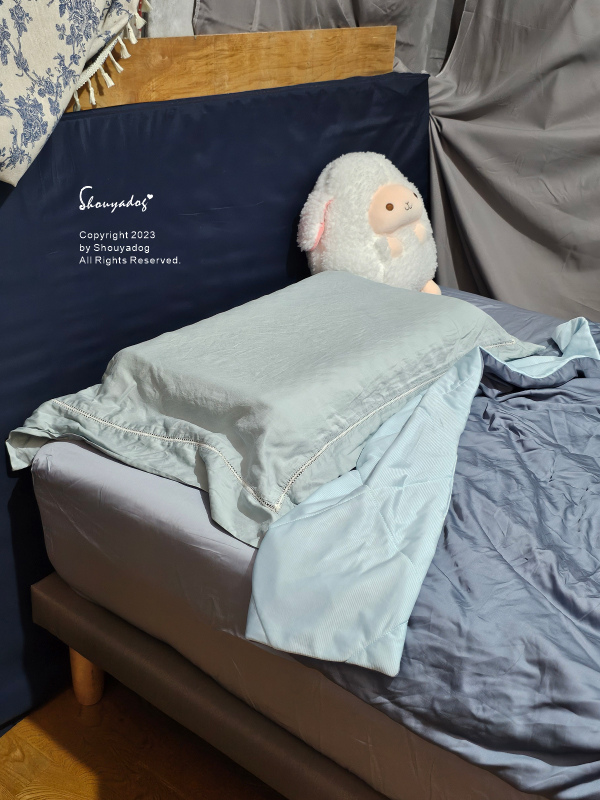 【睡眠寢具】AROPHANT好睡象評價 雙面躺感適壓床墊 M