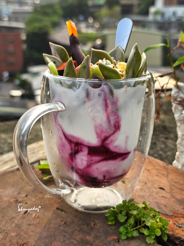 【優格冰淇淋店】SNOW FACTORY 雪坊鮮果優格 法式 【優格冰淇淋店】SNOW FACTORY 雪坊鮮果優格 法式