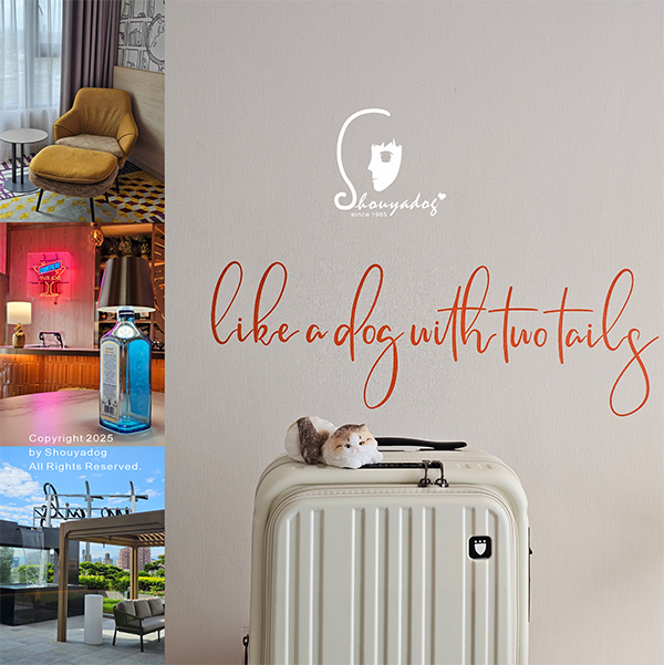 Two Tails Hotel 蘆洲 新北住宿推薦 捷運徐匯