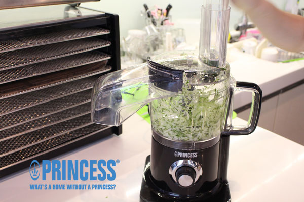 PRINCESS荷蘭公主四杯迷你食物調理機。