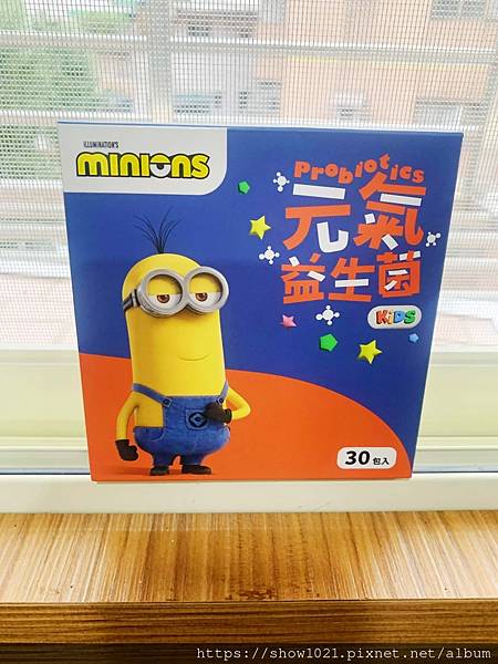 【momochan 沫沫將】正版授權人氣IP 益生菌   小