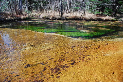 Day 5-2 上高地~大正池、田代池@ showerlin的部落格:: 痞客邦::