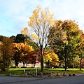 DSC_6255 (640x426)
