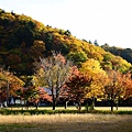 DSC_6258 (640x426)