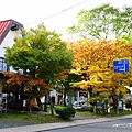 DSC_6265 (640x426)