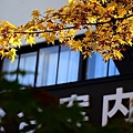 DSC_6268 (640x426)