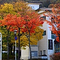 DSC_6273 (426x640)