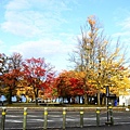 DSC_6275 (640x426)