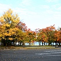 DSC_6277 (640x426)