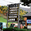 DSC_8043 (678x1020)