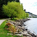 DSC_2350 (798x1200).jpg