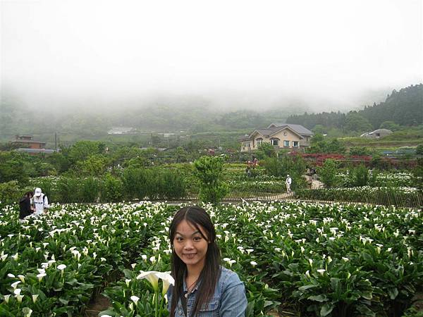 竹子湖在半山腰，雲霧繚繞很美麗~但是溫度跟山下比一點都不美麗..XDD