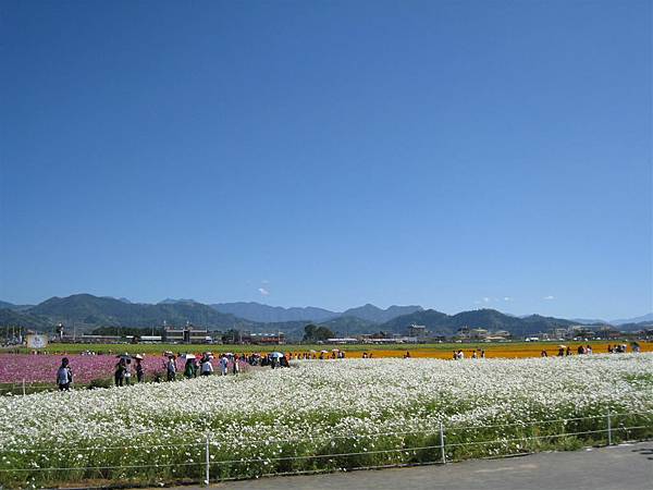 再見了花海~ 有機會我們再來看你