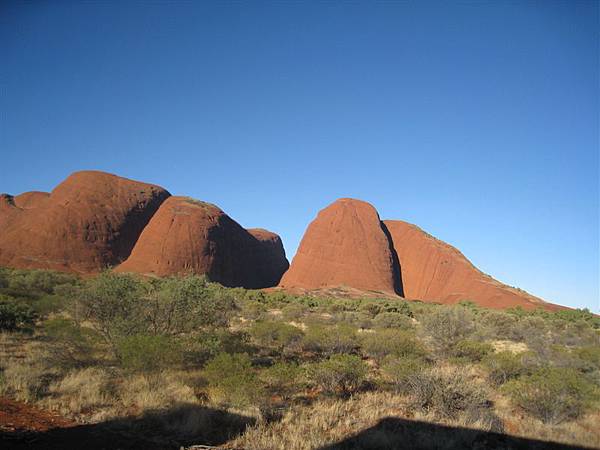 在車上拍Kata Tjuta，很多大頭~哈