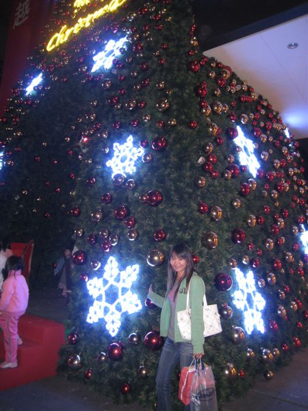 不過新光每年的聖誕樹很像都一樣耶~哈哈