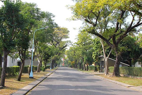 高雄煉油廠宿舍-道路綠意