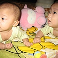 Baby 021.jpg