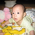 Baby 023.jpg