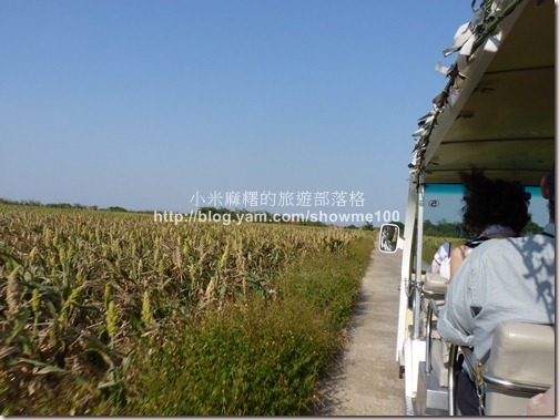 P1180357古寧頭電瓶車 P1180357古寧頭電瓶車