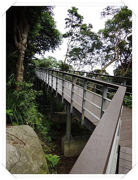 觀音山林梢步道