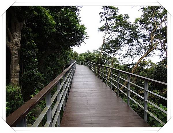 觀音山林梢步道