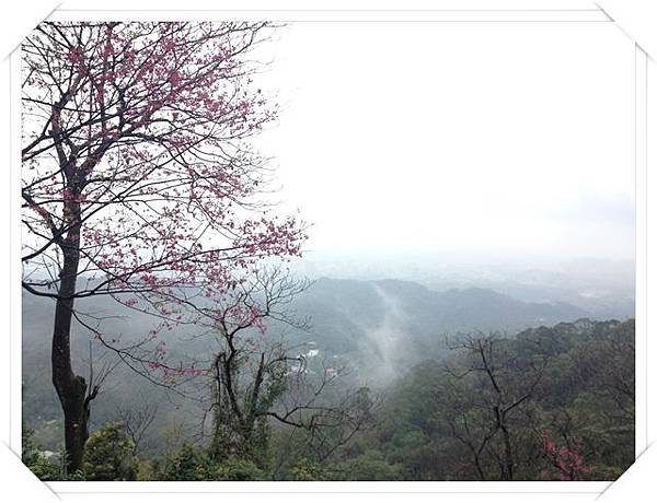 土城太極嶺