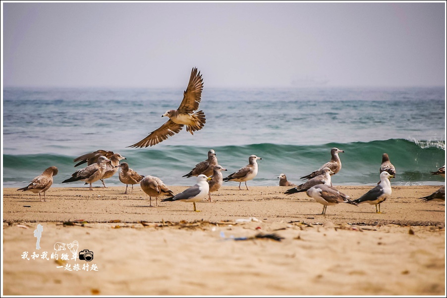 未命名 - 3.jpg 未命名 - 3.jpg