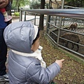 少爺已經去過N次新竹動物園,熟門熟路