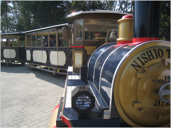 馬上就有個遊園小火車等著