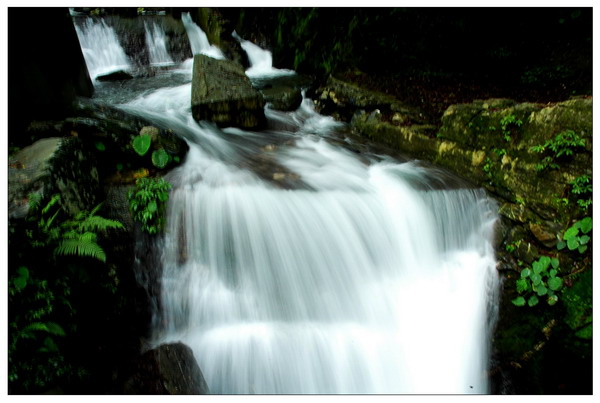 D70NanTou 229r_resize