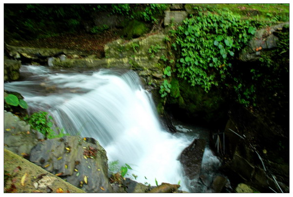 D70NanTou 333r_resize
