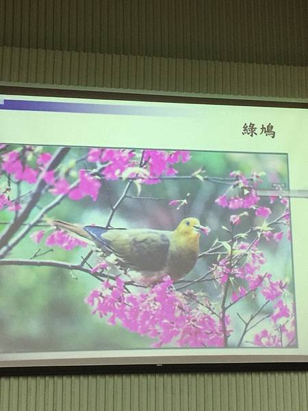 20180609生命教育研習-鳥事知多少_180613_0073.jpg