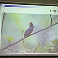 20180609生命教育研習-鳥事知多少_180613_0075.jpg