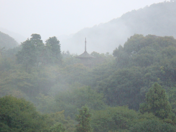 霧氣太重照不到另一頭