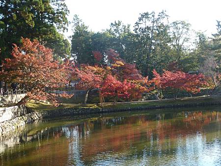 103.1120-24京都楓紅行 017