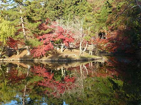 103.1120-24京都楓紅行 033