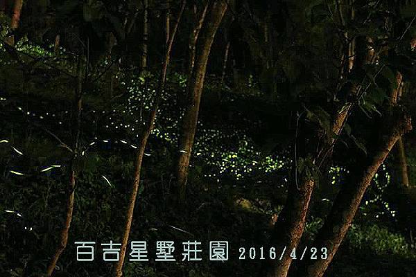 6822 複製.jpg 6822 複製.jpg