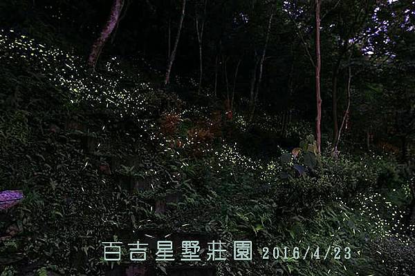 6823 複製.jpg 6823 複製.jpg