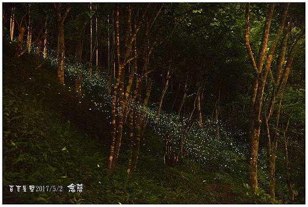 DSC_1974-2-1 複製.jpg DSC_1974-2-1 複製.jpg