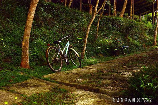 DSC_1862 複製.jpg DSC_1862 複製.jpg