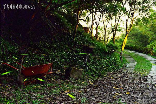 DSC_1855 複製.jpg DSC_1855 複製.jpg