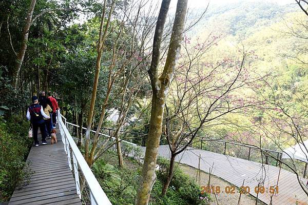 包棟民宿~桃園大溪百吉星墅莊園還境介紹